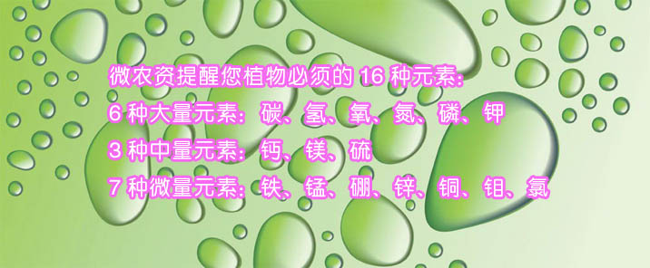 植物必须的大量元素中量元素微量元素详解