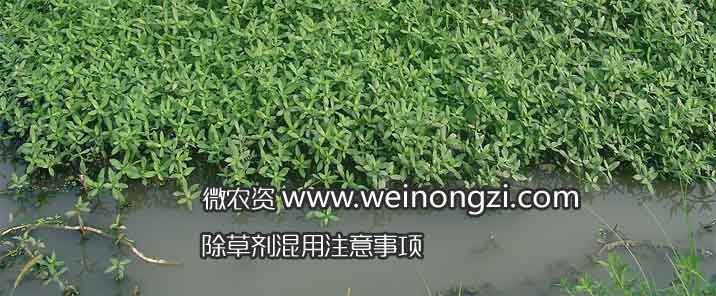 除草剂混用