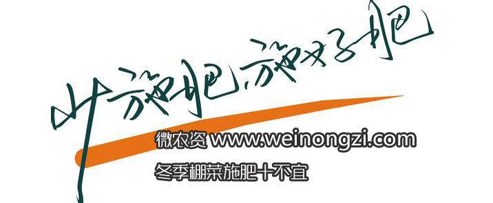蔬菜施肥