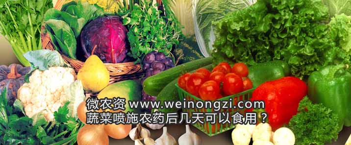 农药残留
