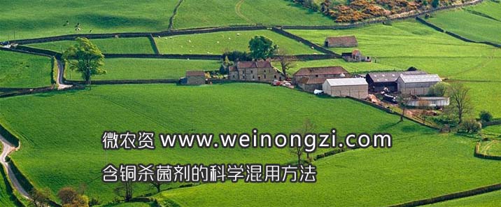 铜制剂