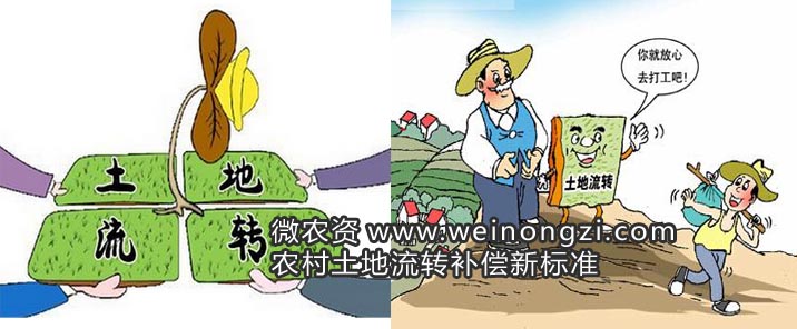 土地流转补偿