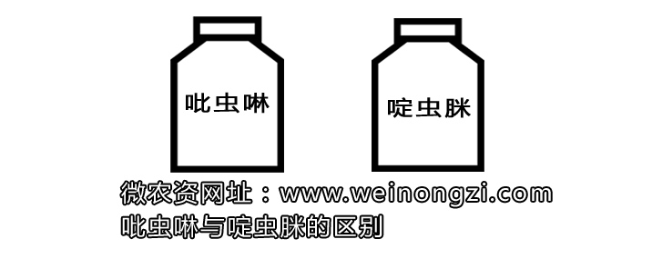 吡虫啉