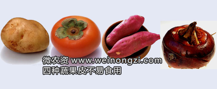 土豆