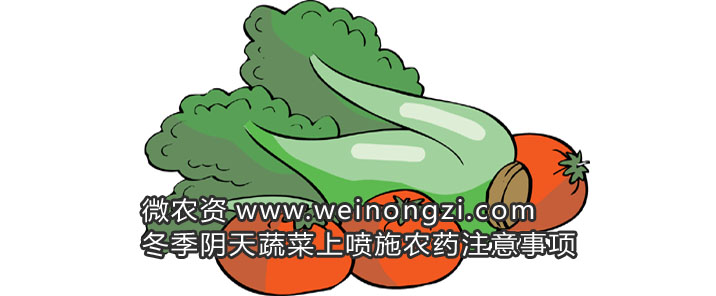 阴天施药
