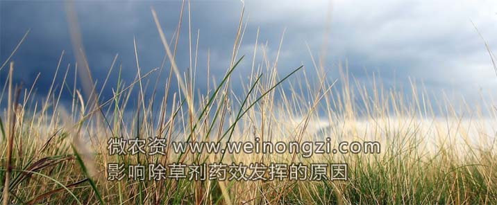 除草剂