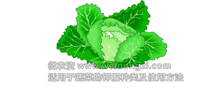 钾肥