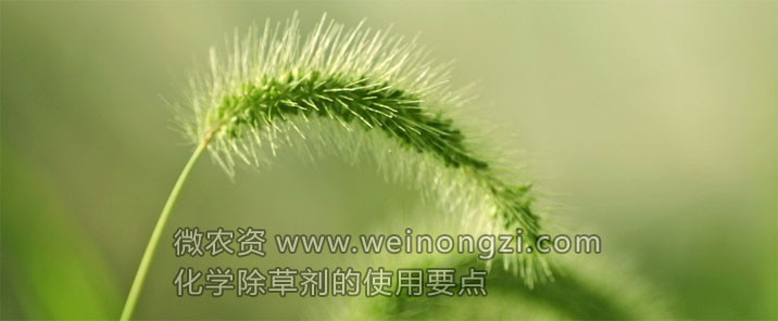 化学除草剂