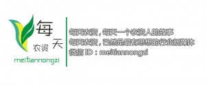 每天农资
