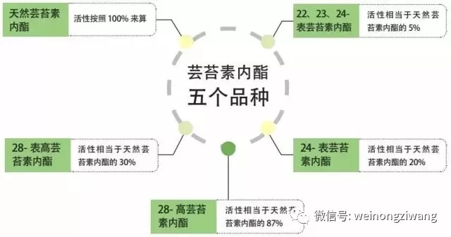 芸苔素内酯