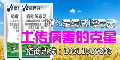 霜霉威恶霉灵土传病害