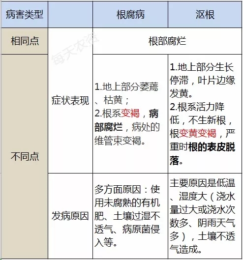 根腐病