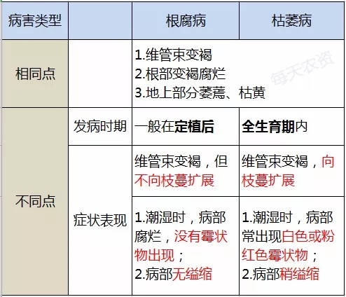 枯萎病