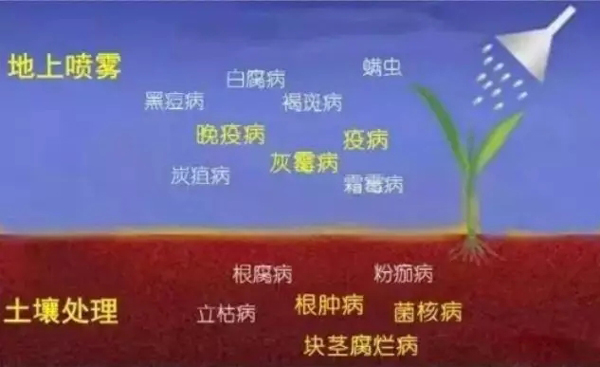 氟啶胺