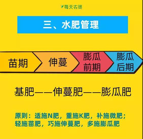 西瓜