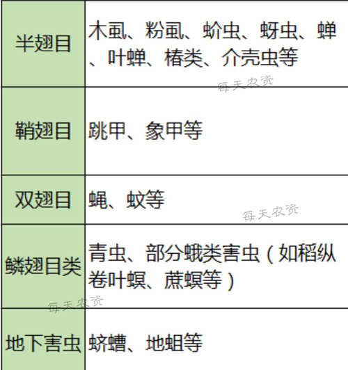 噻虫胺