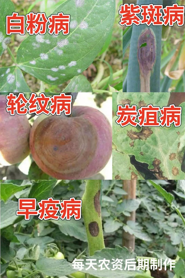 嘧菌酯