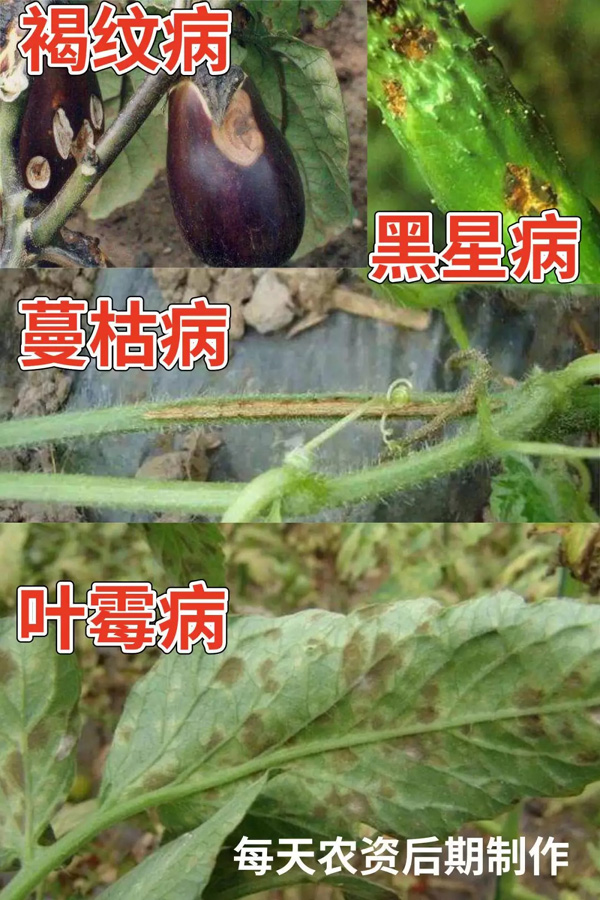 嘧菌酯
