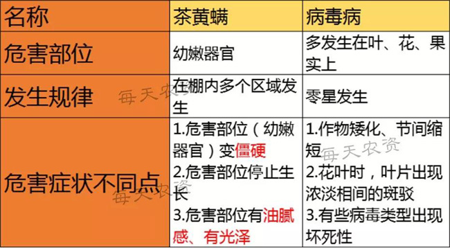 每天农资