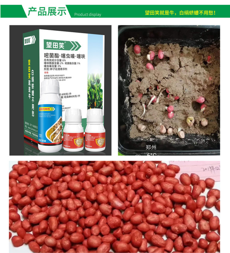 国内同时登记花生白绢病和蛴螬的花生拌种剂6嘧菌酯噻虫嗪噻呋酰胺