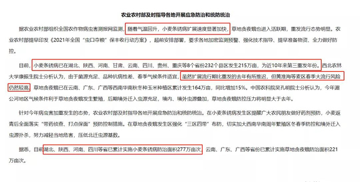 小麦条锈病