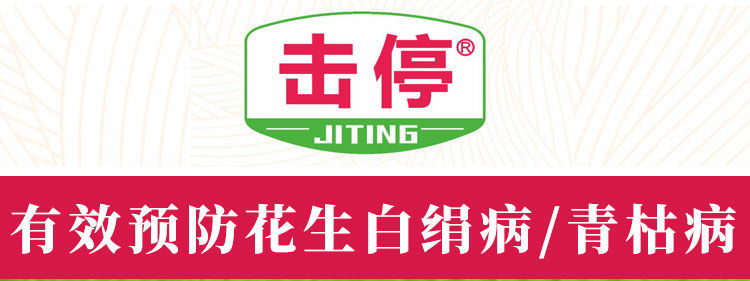 花生白绢病
