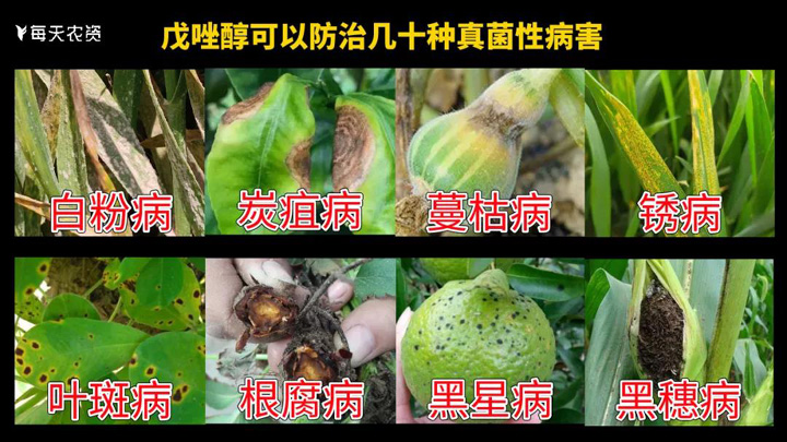 戊唑醇