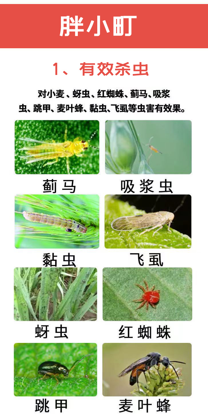 小麦增产套餐