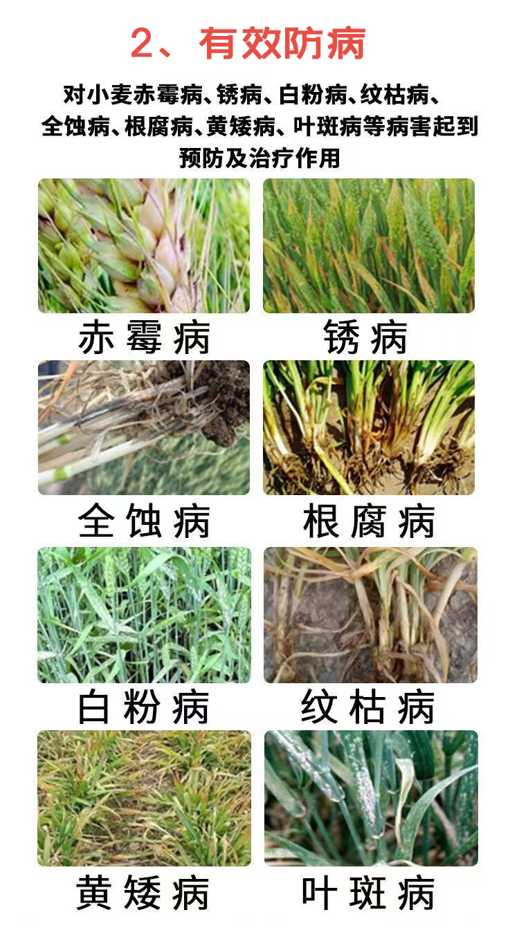 小麦增产套餐