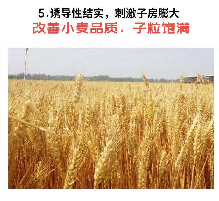 小麦增产套餐