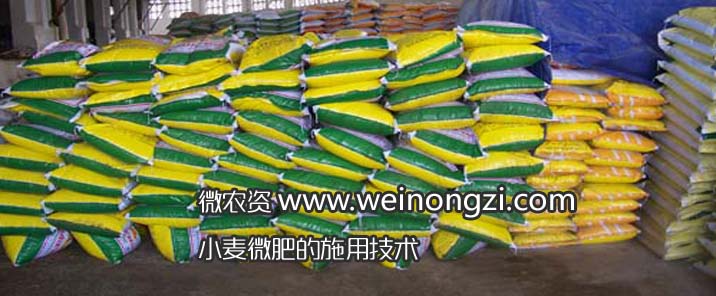 小麦微肥的施用方法