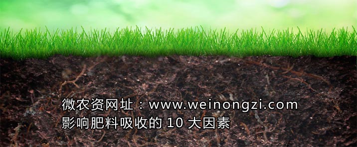 影响肥料吸收的10大因素