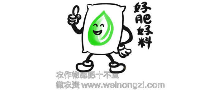 农作物施肥十不宜