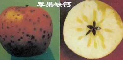 wnz16090301.webp