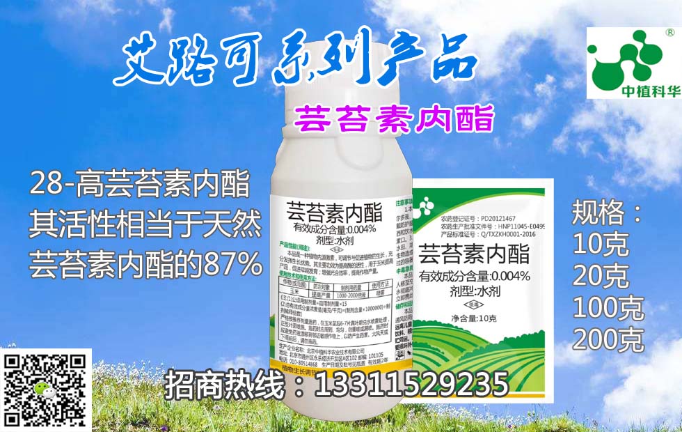 芸苔素内酯