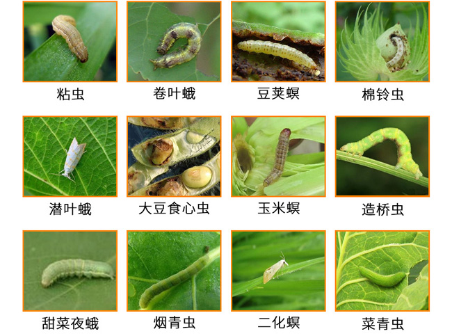 甲维虫螨腈