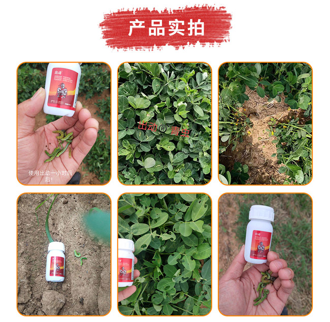 甲维虫螨腈