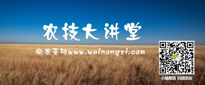 微农资