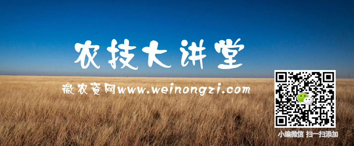 微农资网
