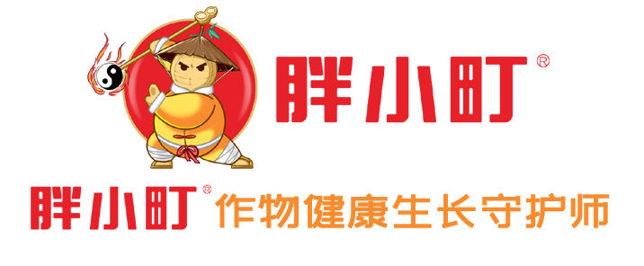 胖小町