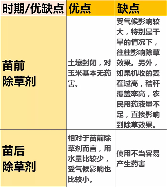 玉米除草剂