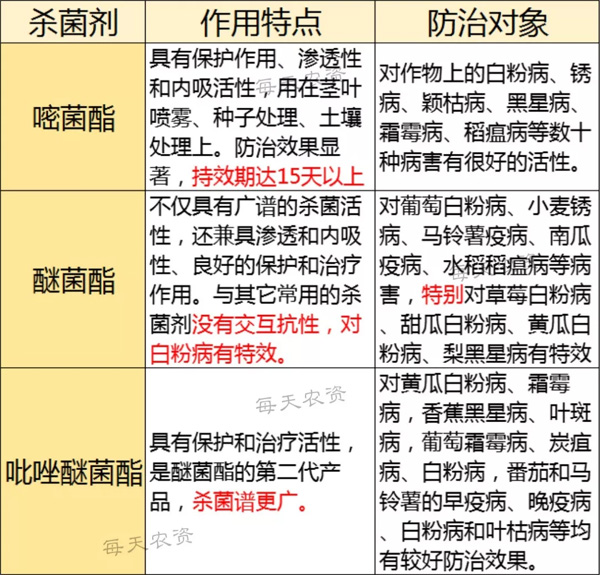 嘧菌酯