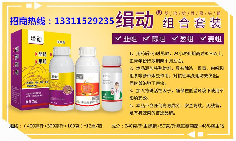 黑头蛆