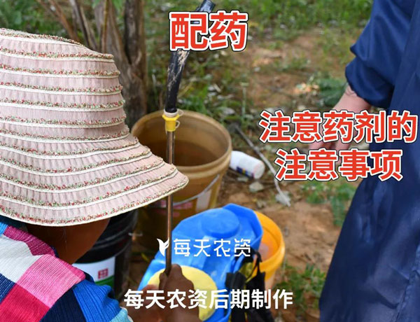叶面肥如何使用才能最大程度发挥效果？