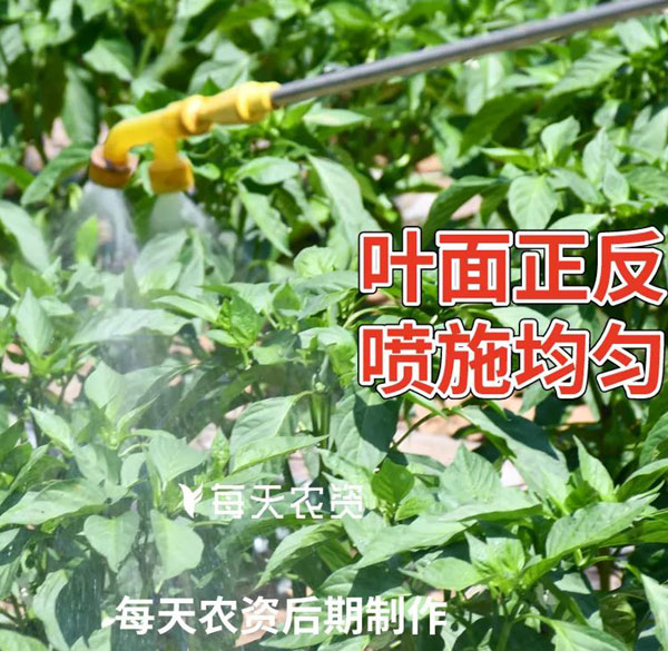 叶面肥使用