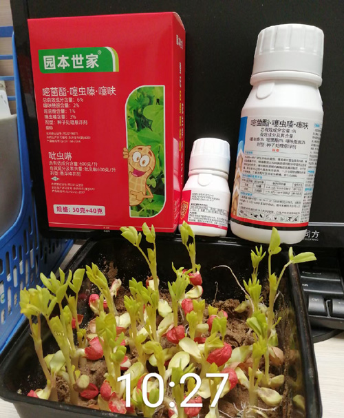 花生拌种剂发芽率