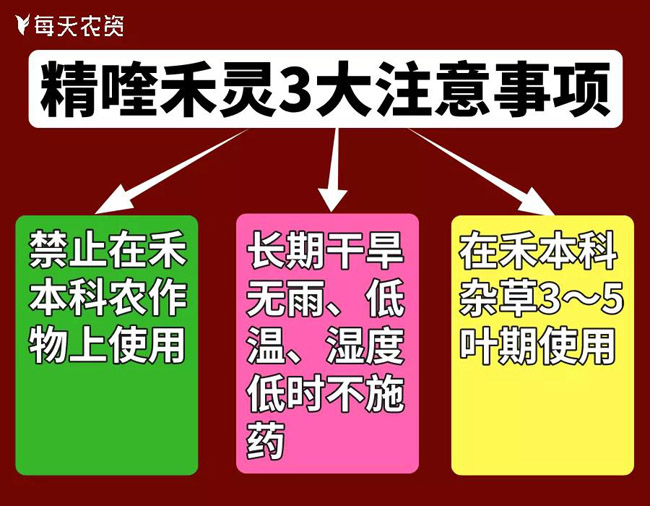 精喹禾灵