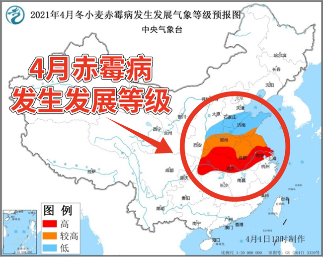 小麦赤霉病