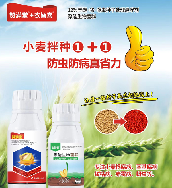 小麦拌种剂