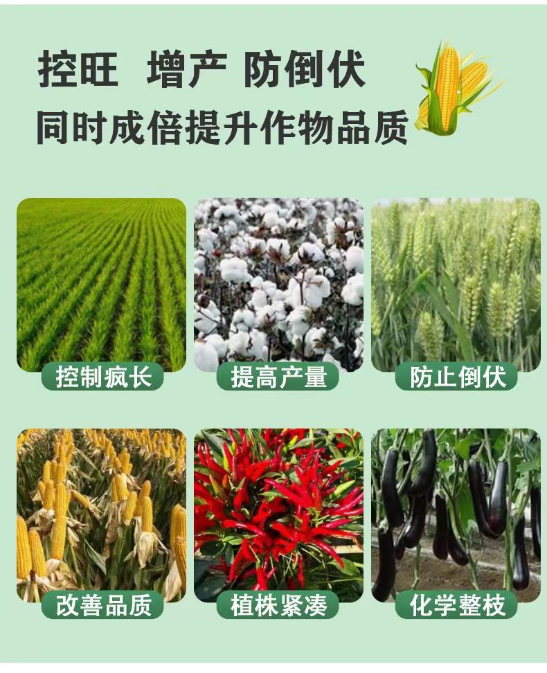 矮壮素